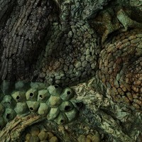  L&C Lab - Biomater - Free Shape III